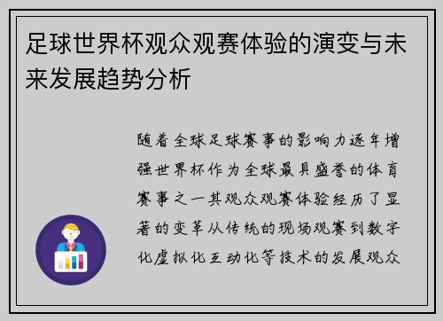 足球世界杯观众观赛体验的演变与未来发展趋势分析